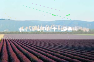 邳州中国十七块金牌