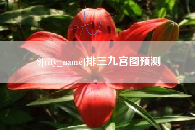 邳州排三九宫图预测