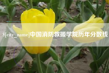 邳州中国消防救援学院历年分数线