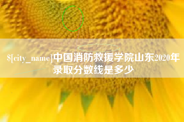 邳州中国消防救援学院山东2020年录取分数线是多少