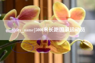 邳州5000米长跑国家运动员