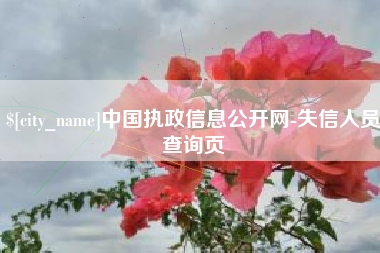 邳州中国执政信息公开网-失信人员查询页