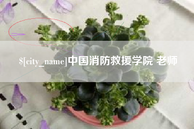 邳州中国消防救援学院 老师