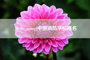 邳州中国消防学校排名