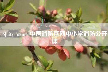 邳州中国消防官网中小学消防公开课