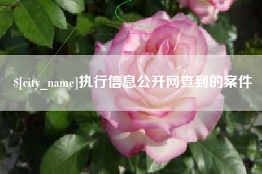 邳州执行信息公开网查到的案件