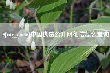 邳州中国执法公开网征信怎么查询