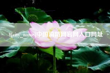 邳州中国消防网官网入口网址