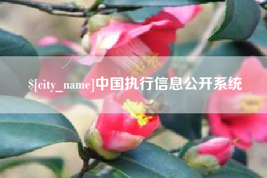 邳州中国执行信息公开系统