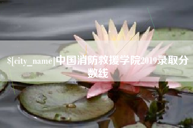 邳州中国消防救援学院2019录取分数线