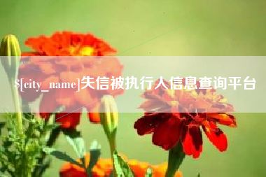 邳州失信被执行人信息查询平台