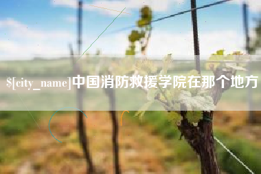 邳州中国消防救援学院在那个地方