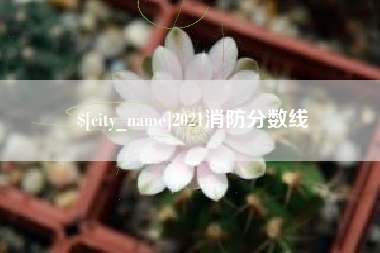 邳州2021消防分数线