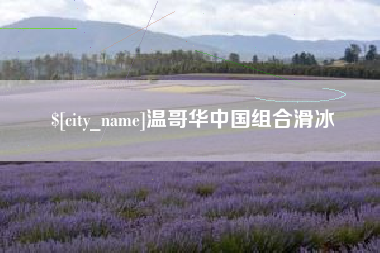 邳州温哥华中国组合滑冰