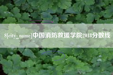 邳州中国消防救援学院2018分数线
