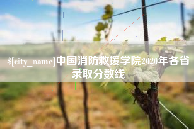 邳州中国消防救援学院2020年各省录取分数线