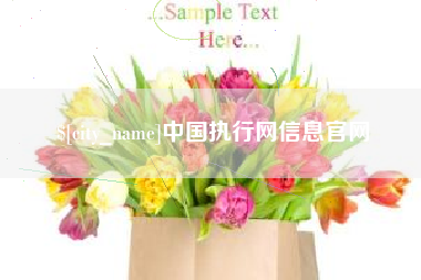 邳州中国执行网信息官网