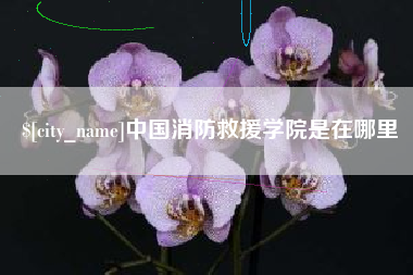 邳州中国消防救援学院是在哪里