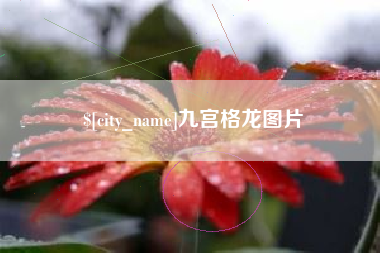邳州九宫格龙图片