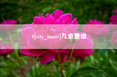 邳州九金是谁