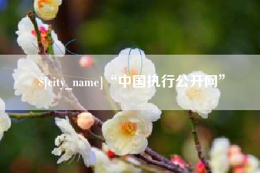 邳州“中国执行公开网”