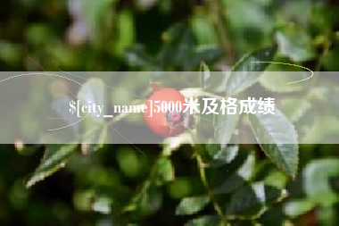 邳州5000米及格成绩