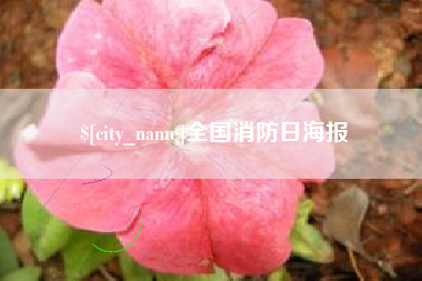 邳州全国消防日海报
