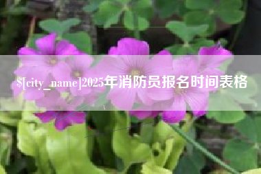邳州2025年消防员报名时间表格