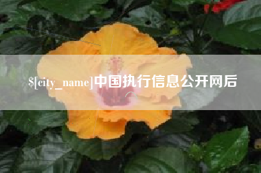 邳州中国执行信息公开网后