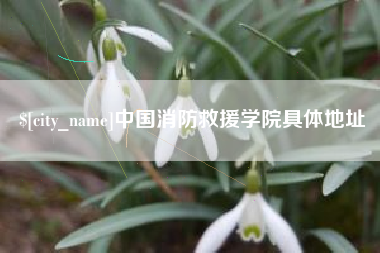 邳州中国消防救援学院具体地址