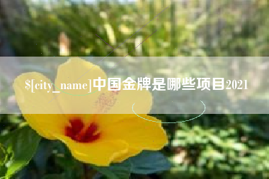 邳州中国金牌是哪些项目2021
