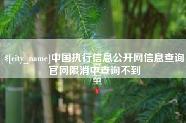 邳州中国执行信息公开网信息查询官网限消中查询不到