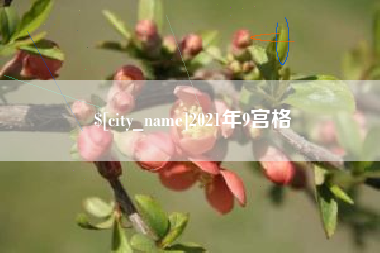 邳州2021年9宫格
