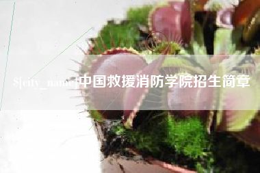 邳州中国救援消防学院招生简章