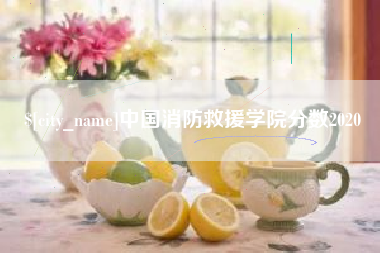 邳州中国消防救援学院分数2020