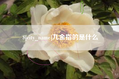 邳州九金指的是什么
