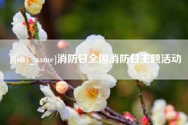 邳州消防日全国消防日主题活动