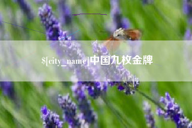 邳州中国九枚金牌