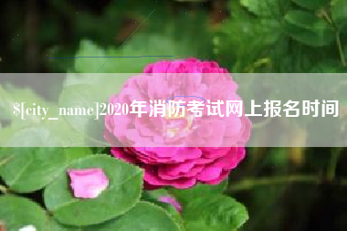 邳州2020年消防考试网上报名时间