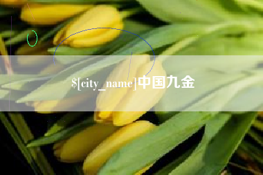 邳州中国九金