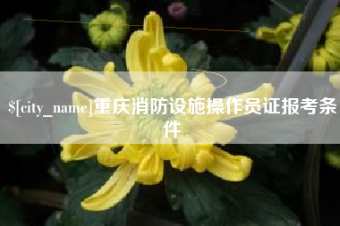 邳州重庆消防设施操作员证报考条件