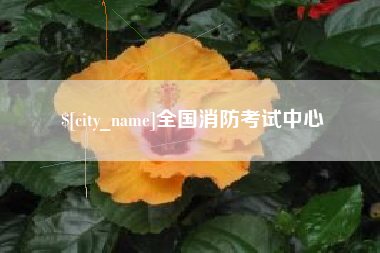 邳州全国消防考试中心