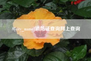 邳州消防证查询网上查询