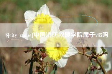 邳州中国消防救援学院属于985吗