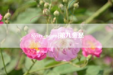 邳州第九金是
