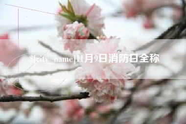 邳州11月9日消防日全称