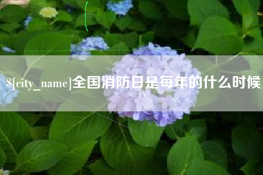 邳州全国消防日是每年的什么时候