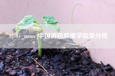 邳州中国消防救援学院录分线