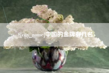 邳州中国的金牌有几名