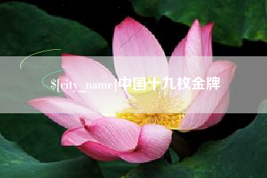 邳州中国十九枚金牌